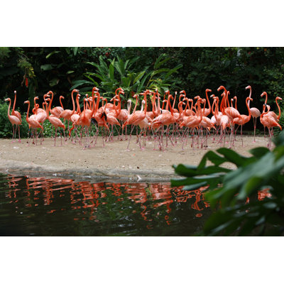Togetherness by Webphotographeer