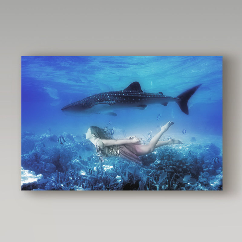 Animals Canvas Art, 22" H x 32" W