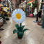 Petite statue de marguerite blanche en pot