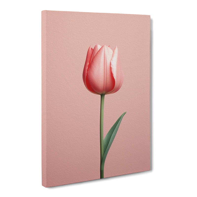 Tulip Flower Minimalism - Wrapped Canvas, 76cm H x 50cm W x 3cm D