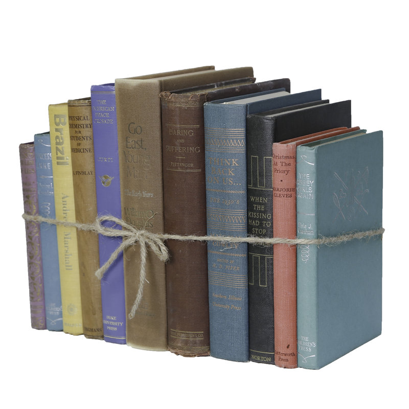 Livres décoratifs - Livres mixtes rétro - 1 pied de livres