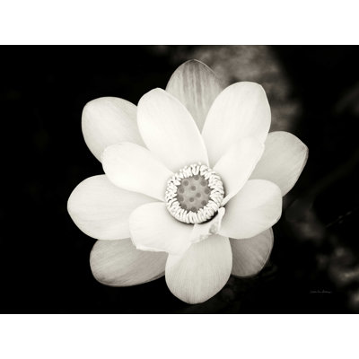 " Lotus Flower III "