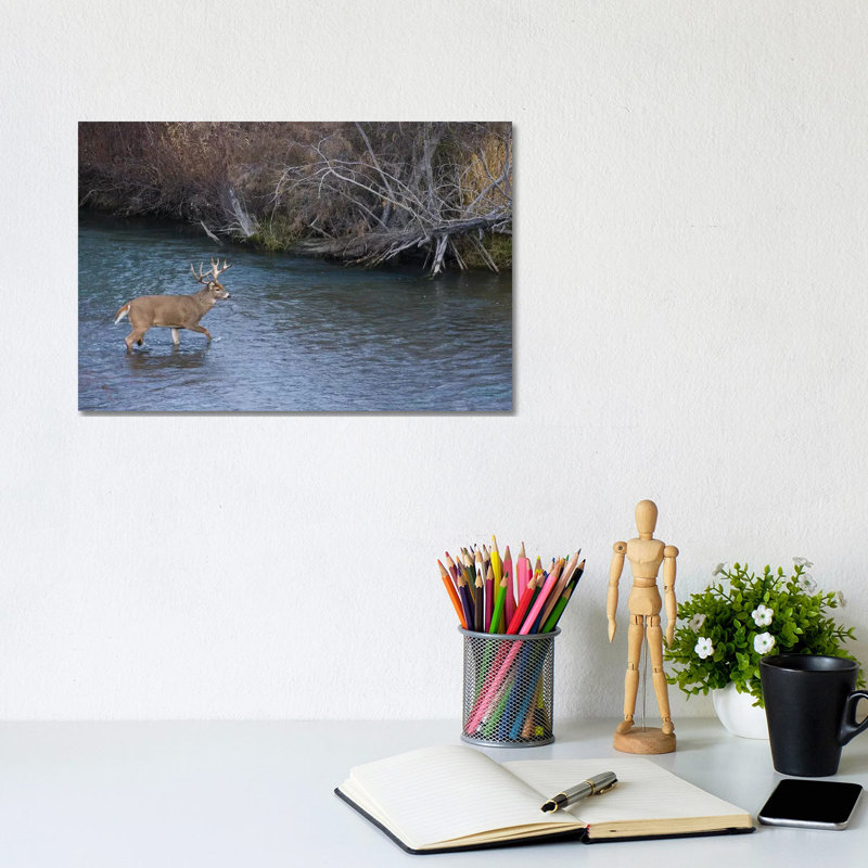 White-tail deer buck crossing river 1 Piece Wrapped Canvas Wall Art, 20.32 cm H x 30.48 cm W