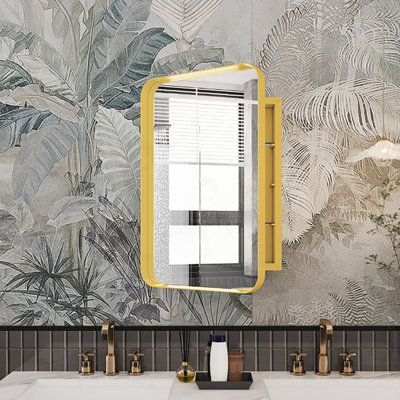 Metal Framed Medicine Cabinet with Mirror and Adjustable Shelves