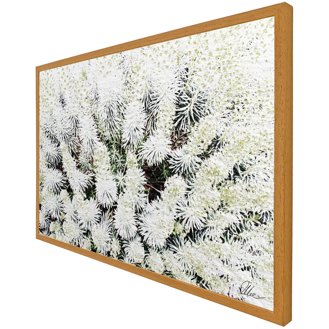 Single Picture Frame Print