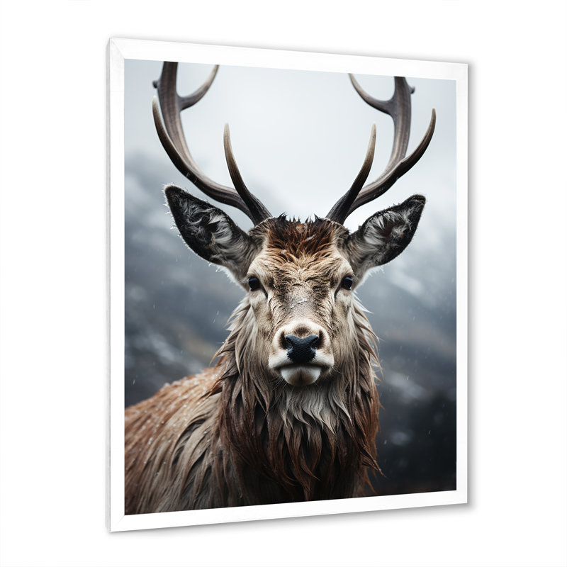 Cerf Bearnard monochrome I, H 32 po x l 24 po x P 1 po, Cadre photo blanc