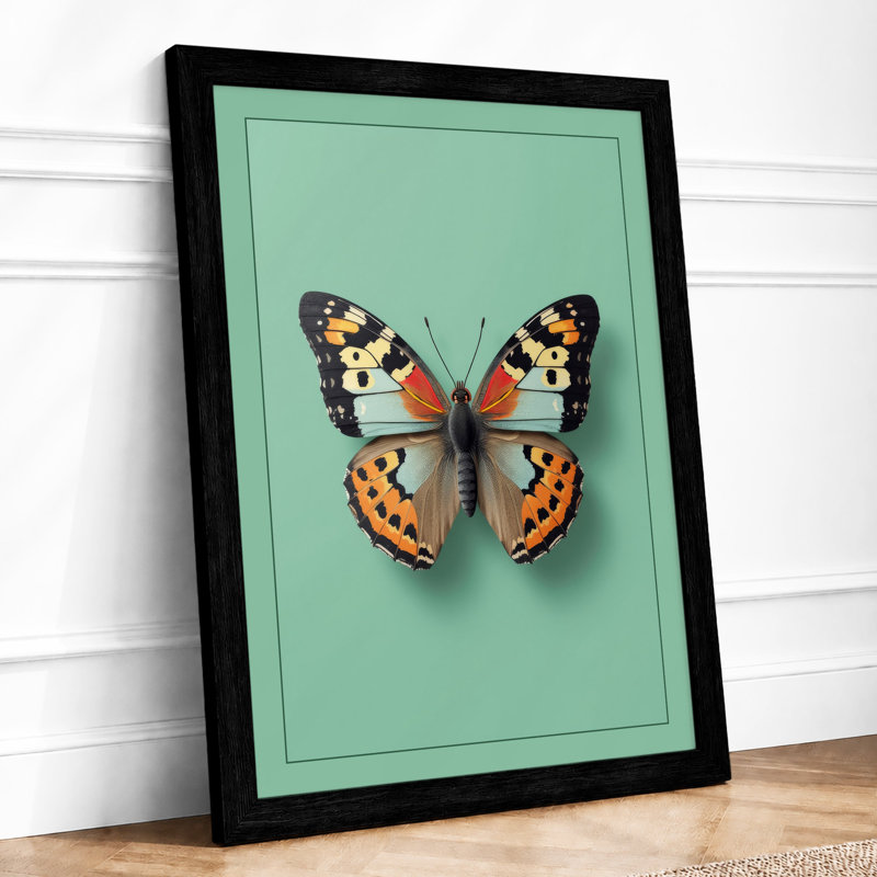 Specimen Butterfly Minimalist - Print, Black, A3 - 42.0 x 29.7 cm