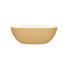 Barcelona 59" x 28.5" Freestanding Soaking Bathtub with Void