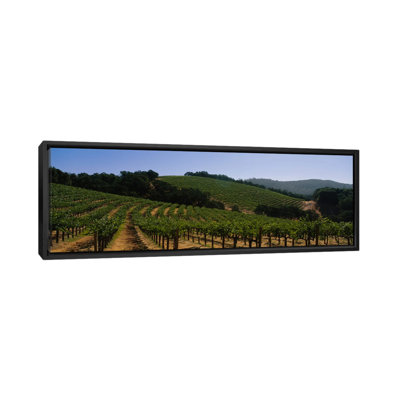 " Hillside Vineyard Landscape, Napa Valley AVA, California, USA " by Panoramic Images