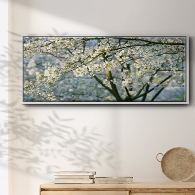In All Your Glory- Framed Canvas