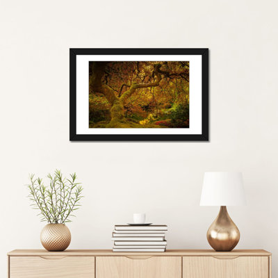 «Spring Spring» par Don Schwartz, reproduction sur toile tendue sur toile tendue