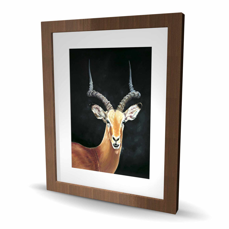 Antilope, reproduction encadrée avec passe-partout