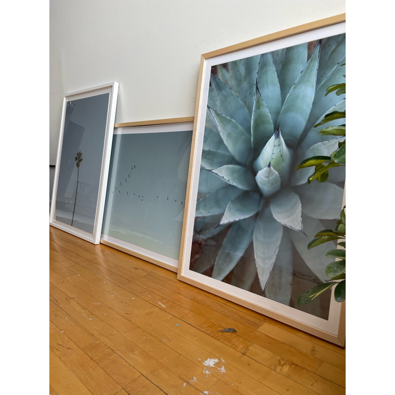 Solo Palm by Amanda Anderson, White, 42" H x 28" W x 2.25" D