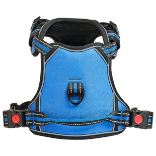 Adjustable Dog Harness For Large Pets, Blue Fabric, No Pull Feature, Multiple Control Options Outdoor Walks, Dual Buckle Security With Leash Big Pet Dogs, Material, Design, 4 - Point Adjustment A ,