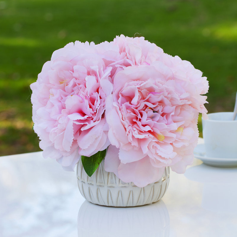 Arrangements floraux d'hortensias en pot, Rose