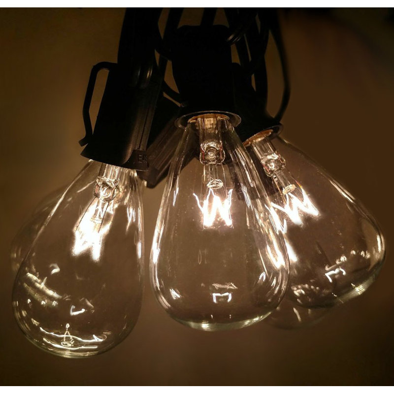 Guirlande de 50 lumières Edison pour l'extérieur 50 pi Edison, Noir, L 600 po
