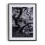 Tree Gaze IV Print by Coup D'Esprit-1421126884