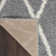 Aaleigha Performance Geometric Indoor Rug