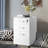 Marnyn 16.9'' Wide 3 -Drawer File Cabinet