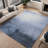 Machine Washable Indoor/Outdoor Magruder ACN2420 Abstract Rug-1682504966
