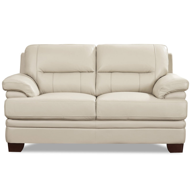 Ridhay 66'' Leather Loveseat, White