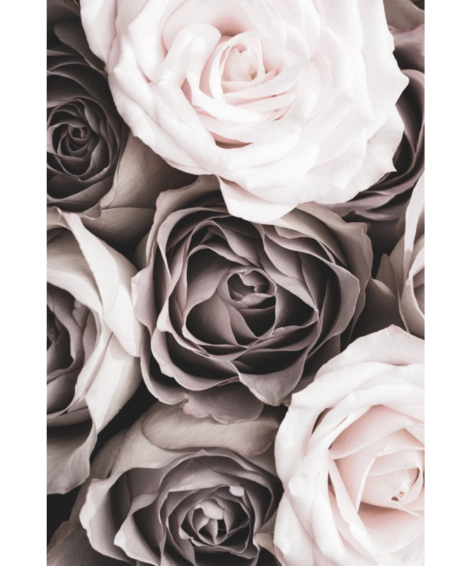 Wrapped Canvas Print, 91.44 cm H x 60.96 cm W