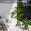Beulah Plant Stand - Set of 3