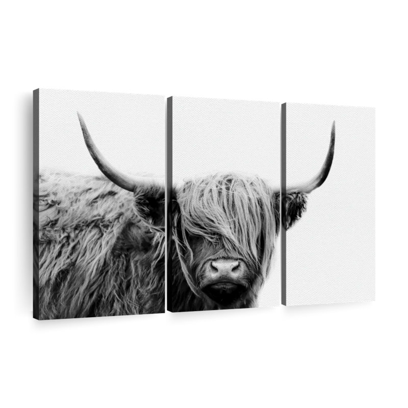" BW Highland Cow " 3 - Pieces, 20" H x 33" W x 1.25" D