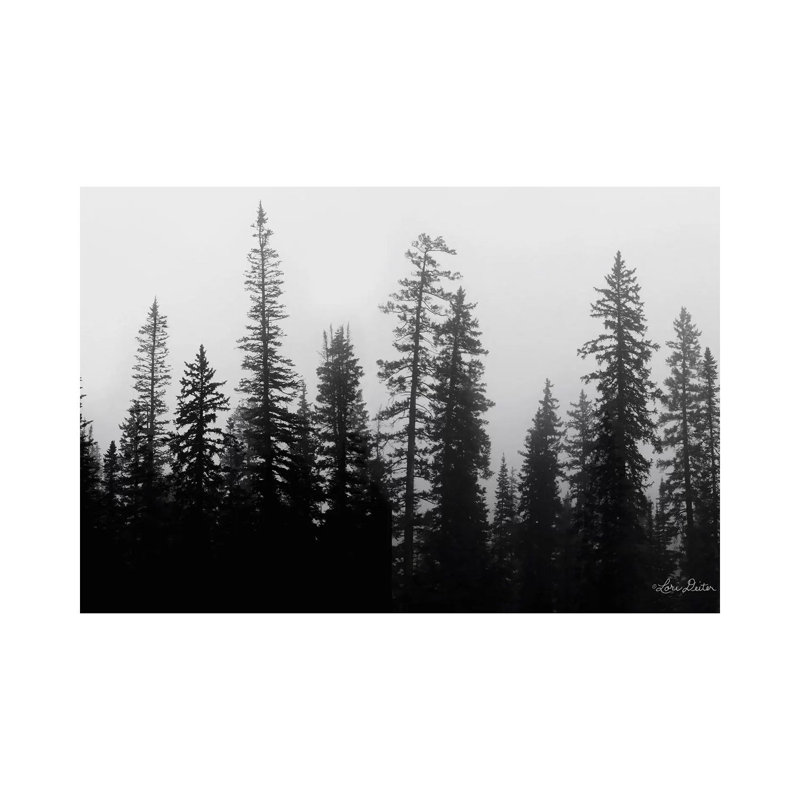 Rocky's Trees by Lori Deiter - Wrapped Canvas Print, 20.32 cm H x 30.48 cm W
