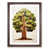 Walnut selected