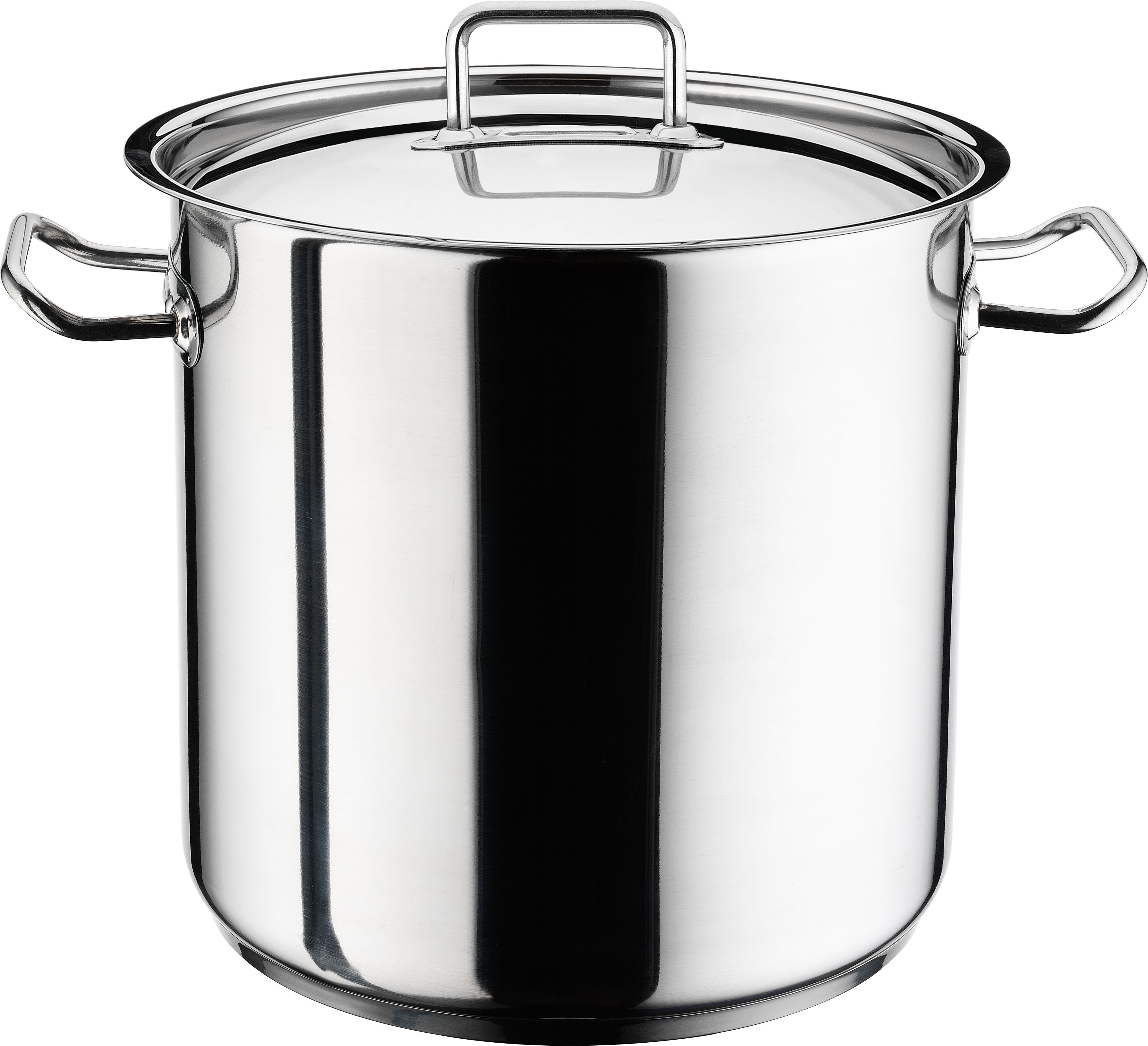 Hascevher 18/10 Stainless Steel Stock Pot with Lid & Reviews Wayfair