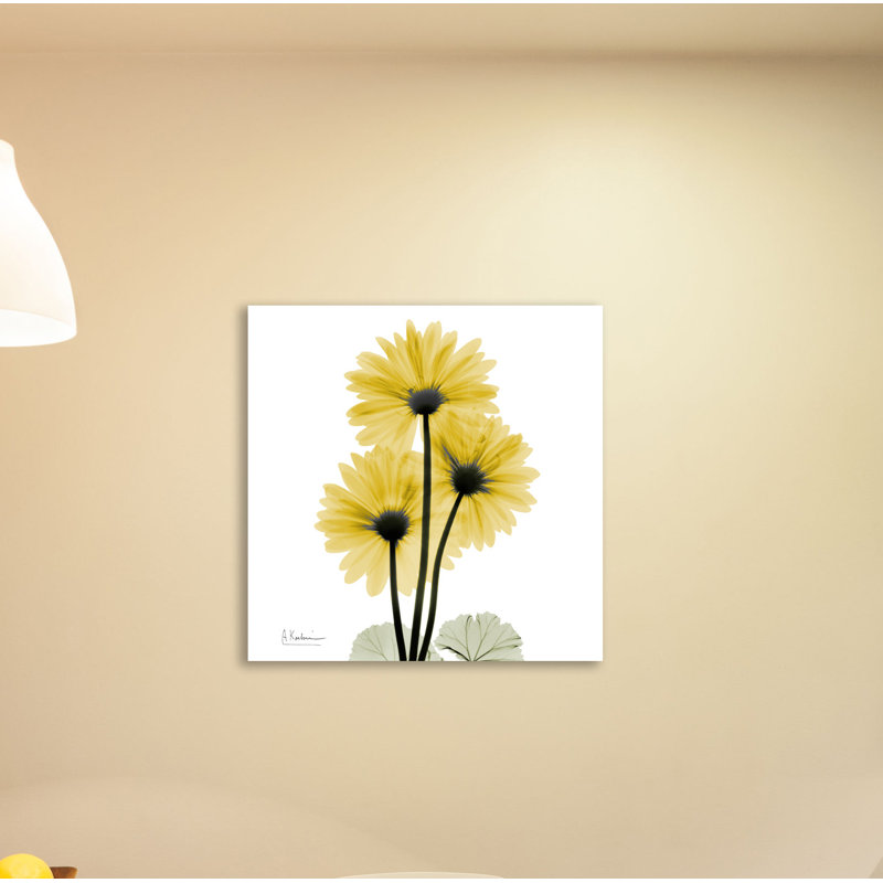 " Golden Gerbera 2 ", 36" H x 36" W x 1.5" D