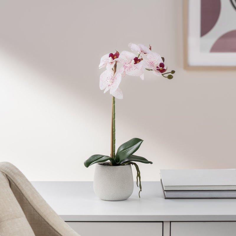 Faux orchidée Phalaenopsis, Blanc/rose