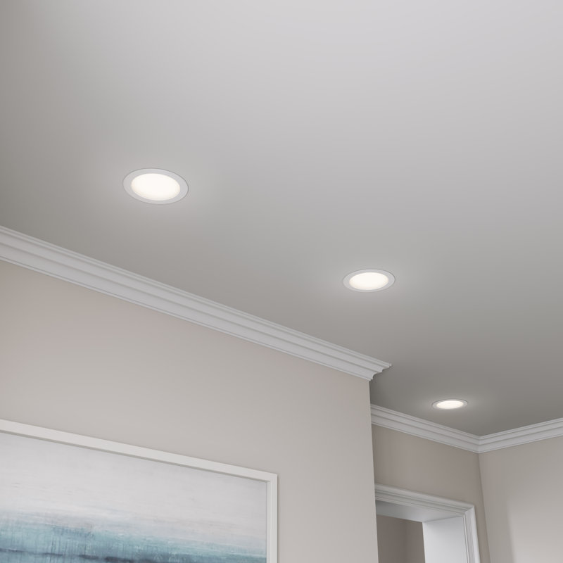 Luminaire à DEL commercial de 8 po 3 W 5CCT