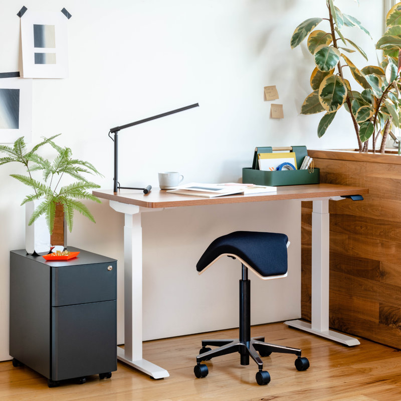 Duo Standing Desk, Walnut, White, 47.3" H x 48" W x 24" D
