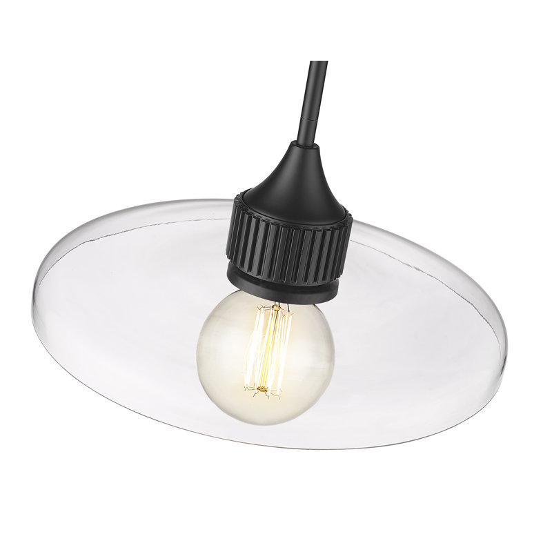 Luminaire suspendu géométrique unique à 1 lumière Jamyla, H 6,25 po x l 14 po x P 14 po, Transparent, Noir mat
