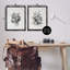 Ensemble de 2 toiles flottantes encadrées antiques-908858581-908858580