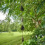 Natividad Rain Chain