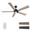 Ventilateur de plafond avec lumières DEL -121966298