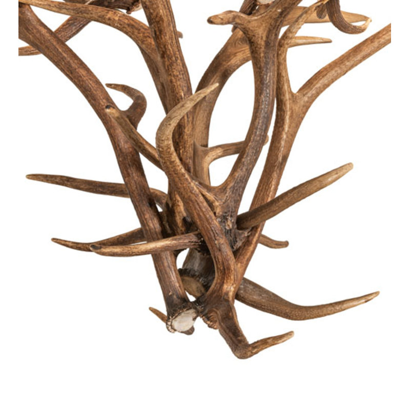 Antlers 8 - Light Chandelier