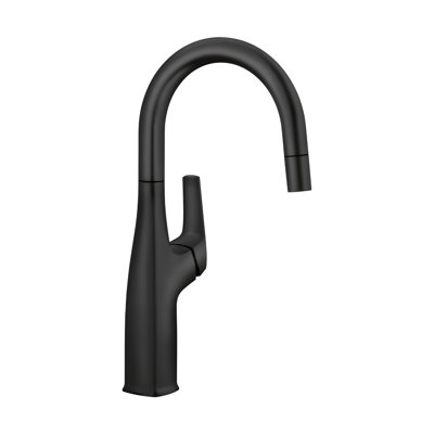 Rivana Pull-Down Bar Faucet