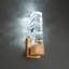 Juliet Aluminum LED Armed Sconce-56116686