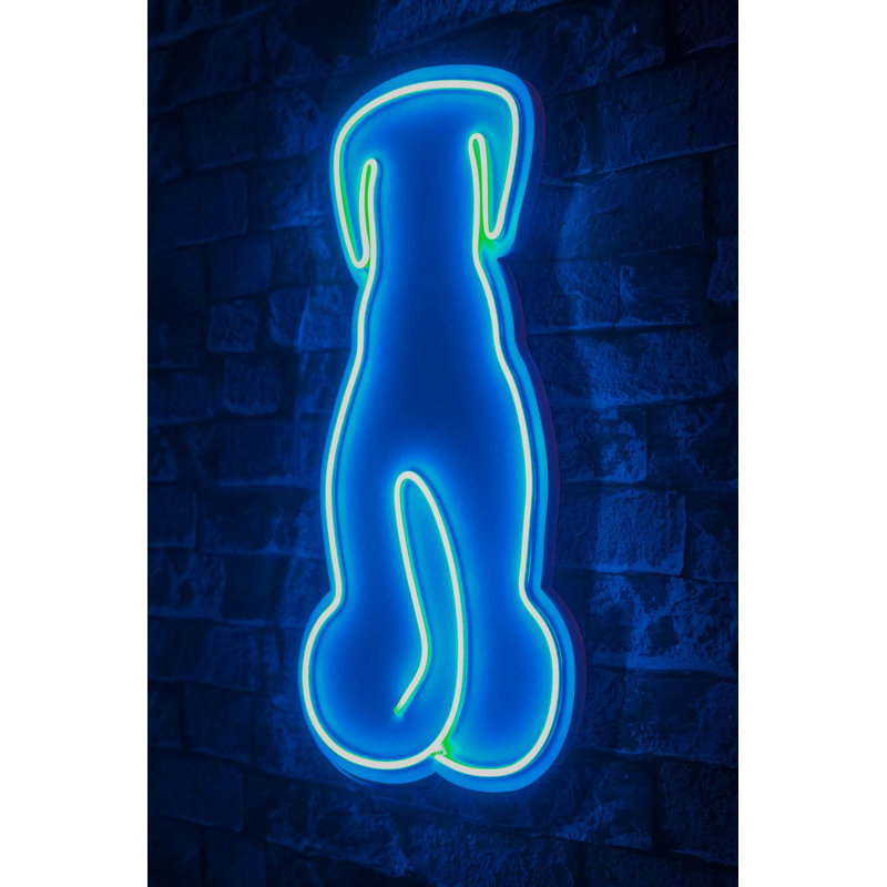 Bande lumineuse néon flexible à DEL, étanche IP67, 15,0 x 15,7 x 0,8 pouces | Gabarit en mousse de PVC bleue | Adaptateur 12V DC, douille 36W, 240 lumens, 3400K | Parfait pour la décoration intérieure, l'éclairage des fêtes et des événements