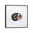 Black Framed is unavailable