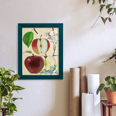 Étude de pommes et de fleurs II - impression encadrée avec verre - rose coucher de soleil