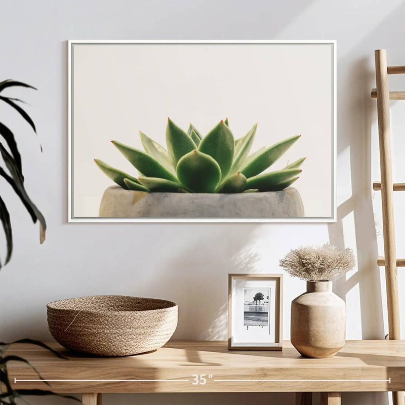 Plante grasse en pierre, Cadre flottant blanc, 25 po x 17 po