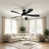 Noir mat