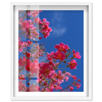 Ruby Sun Kiss II Shadowbox Print Coastal Wall Decor by Notoriart, White Frame, 46"H x 37"W