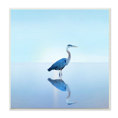 « beach héron ocean oiseau animal » par james mcloughlin-reproduction de photo