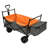 Collapsible Wagon with Canopy